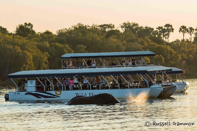 Sundowner Cruise on Zambezi River (Zimbabwe) - Key points at a glance