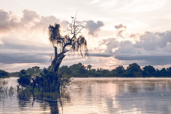Sunrise Cruise on the Zambezi River - What the two-hour route feels like