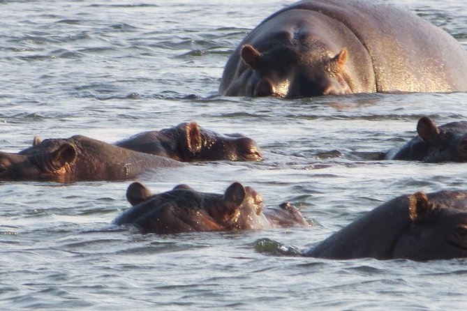 Sunset Cruise & Guided Falls Tour Combo - Morning at Victoria Falls