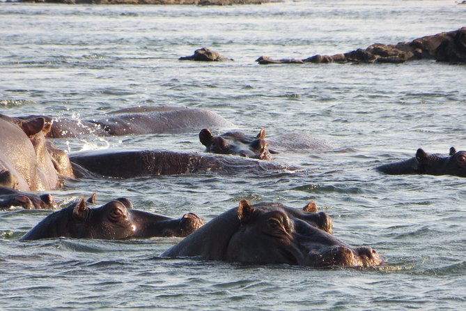 Sunset Cruise & Guided Falls Tour Combo - What the guiding adds