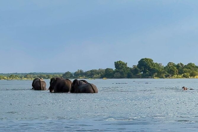 Sunset Cruises on the Zambezi River from Victoria Falls - What happens once the boat leaves