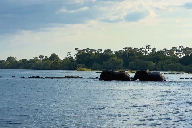 Sunset Cruises on the Zambezi River from Victoria Falls - Sunset views and the best time to go