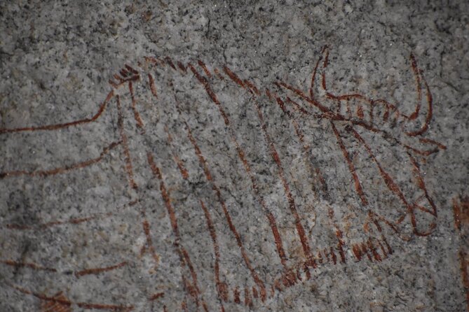 The Best of Matobo - What the small group changes