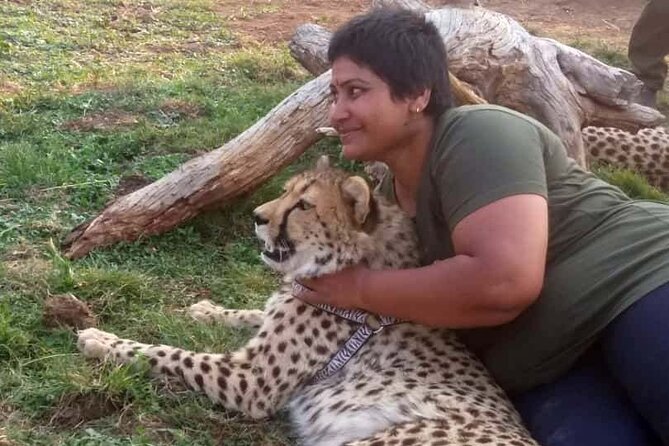 The Cheetah Experience - Walking with cheetahs near Victoria Falls