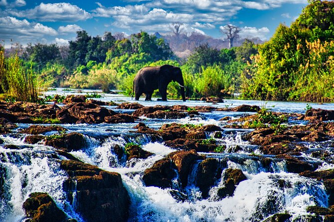 Unique Safari Game Drives in Zambezi National Park, 4 Options - A short ride from Victoria Falls to wild Zambezi country