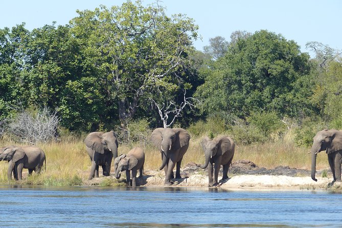 Upper Zambezi Canoeing - Breakfast at the launch site sets the tone