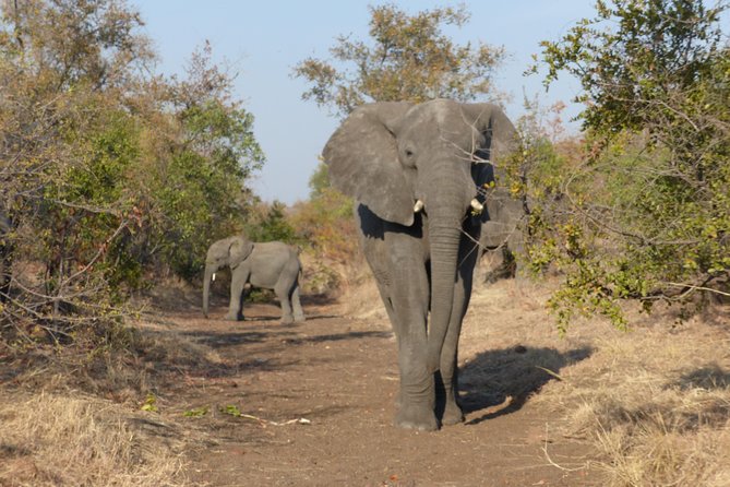 Upper Zambezi Canoeing - Lunch by the river and what is included