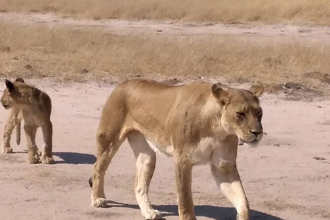 Victoria Falls And Chobe - Who will get the most from this tour