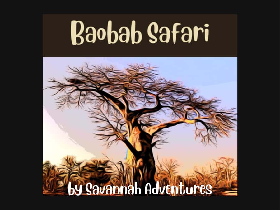 Victoria Falls: Baobab Safari - Sunrise and Mid Morning - A Short Look Toward the Zambezi Gorge