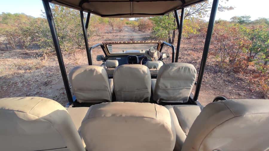 Victoria Falls: Baobab Safari - Sunrise and Mid Morning - Who Will Get the Most From This Safari