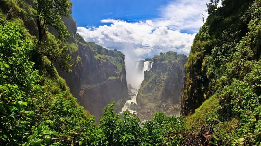 Victoria Falls: Cultural Tour with High Tea - The morning walk through the Victoria Falls rain forest