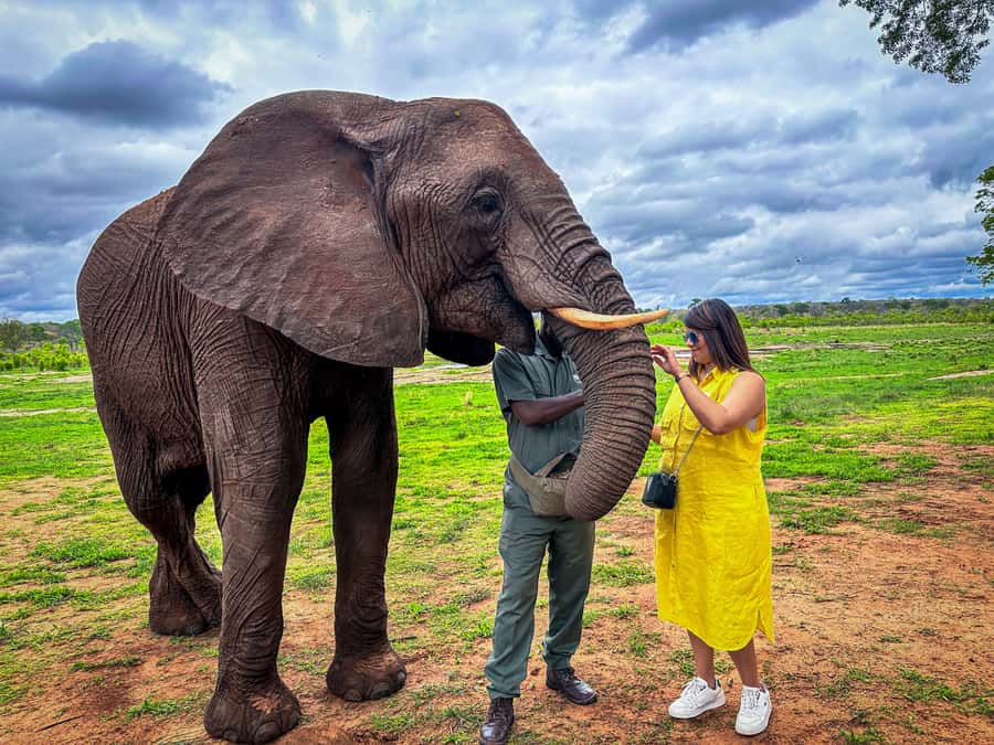 Victoria Falls: Elecrew Through The Eyes Of An Elephant - The short drive from Victoria Falls
