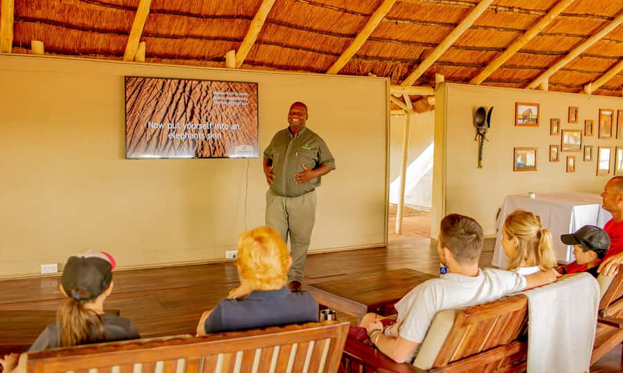 Victoria Falls: Elecrew Through The Eyes Of An Elephant - Meeting the ambassador herd