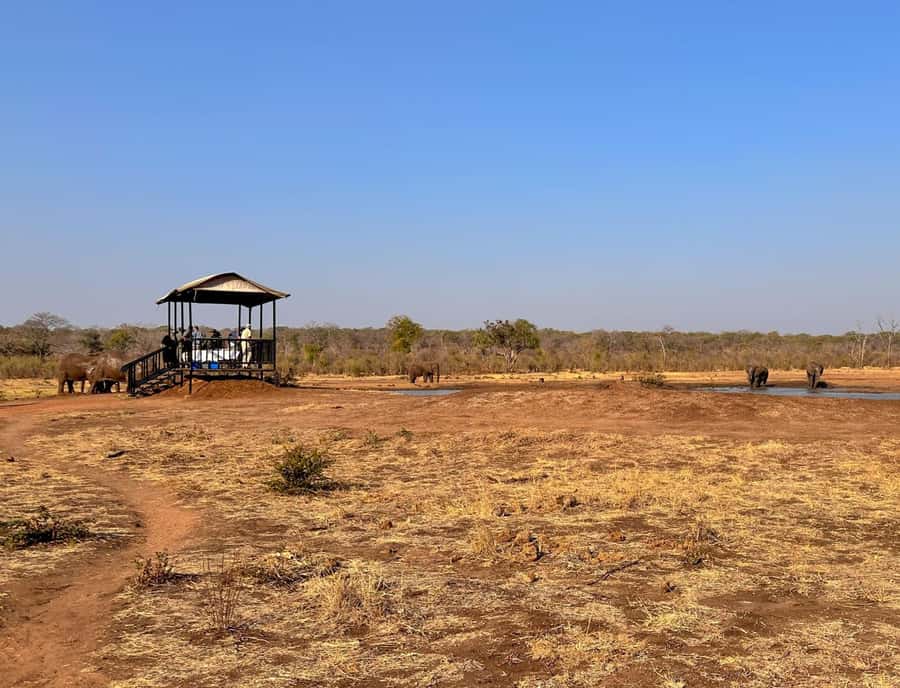 Victoria Falls: Elecrew Through The Eyes Of An Elephant - The waterhole pause and photo opportunity