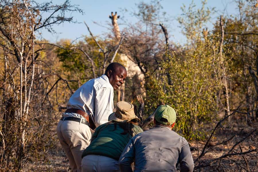 Victoria Falls: Game Walk in the Zambezi National Park - Key points before you book