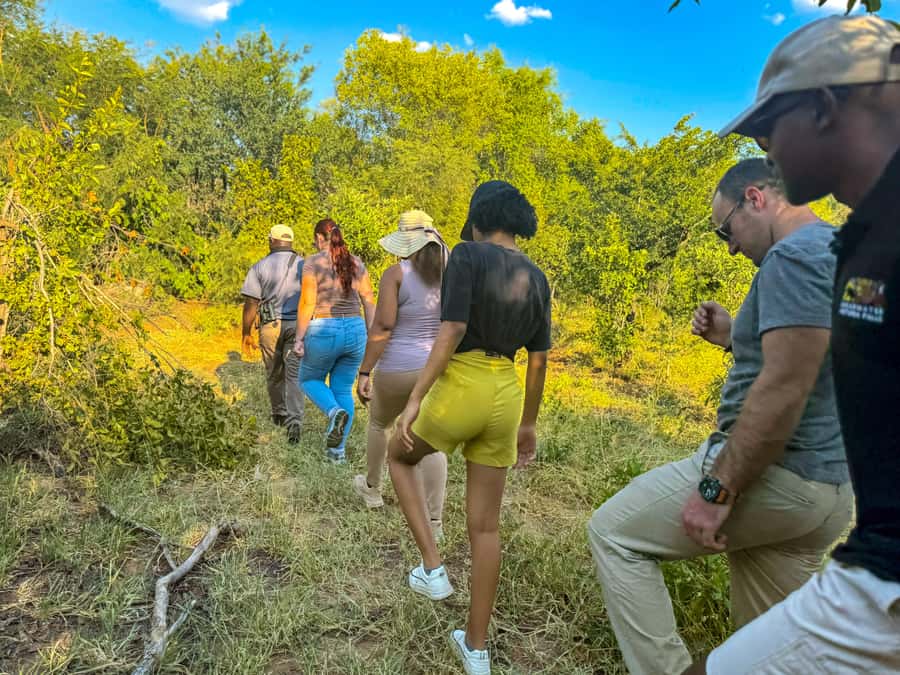 Victoria Falls: Game Walk in the Zambezi National Park - Why walking through Zambezi National Park feels different