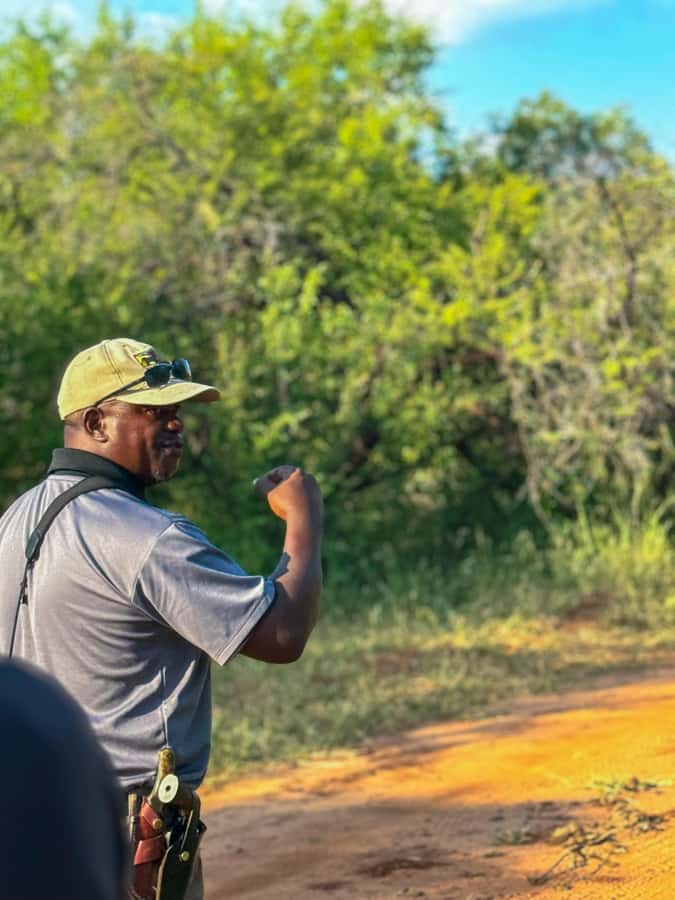 Victoria Falls: Game Walk in the Zambezi National Park - What is included, and where the price makes sense