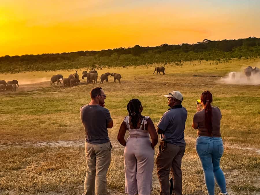 Victoria Falls: Game Walk in the Zambezi National Park - Who should book this game walk