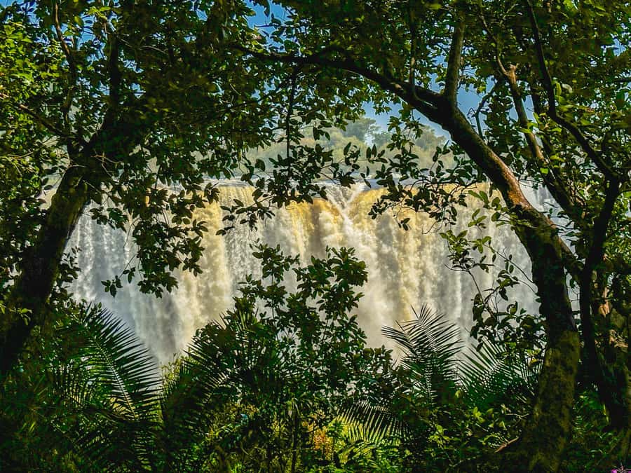 Victoria Falls: Guided Tour of the Victoria Falls - Entering Victoria Falls National Park