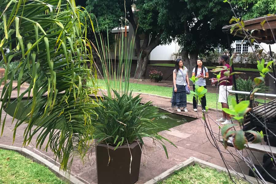 Victoria Falls Guided Tour with High Tea - Starting in Victoria Falls with an Easy Pickup