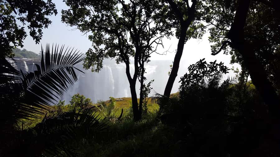 Victoria Falls: Guided Walking Tour - From your hotel to Victoria Falls National Park