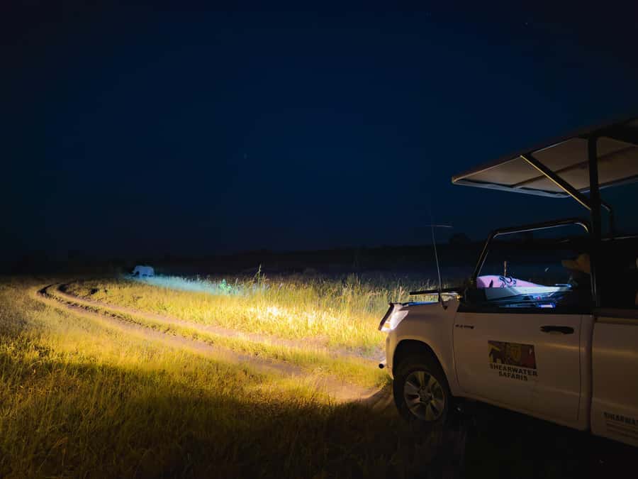 Victoria Falls: Night Game Drive Zambezi National Park - What the $159 price really covers