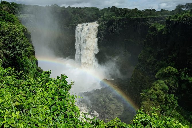 Victoria Falls Private Guided Sunrise Tour - Who will get the most from this experience