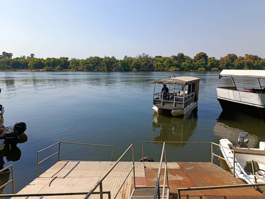 Victoria Falls: Private Zambezi River Birdwatching Safari - Starting with hotel pickup and a private boat