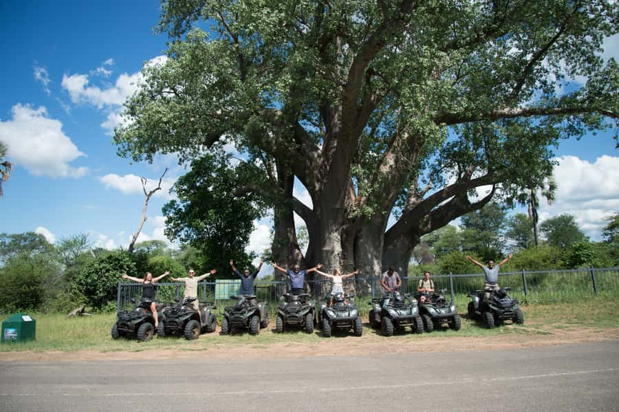 Victoria Falls Quad Bike Adventure - The Big Tree and its 1,500-year story
