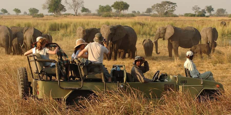 Victoria Falls Safari with Lunch and Sunset Cruise - 11:00 AM at the Victoria Falls rainforest