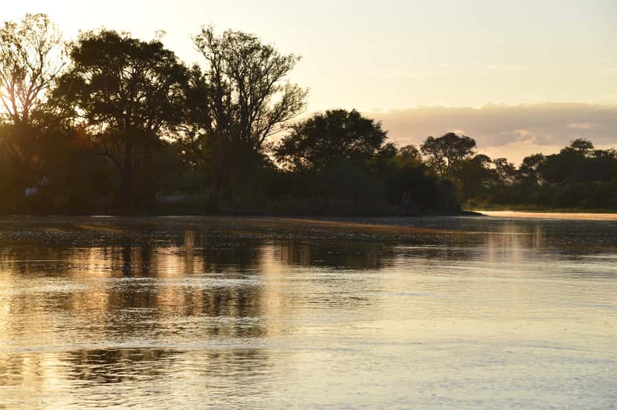 Victoria Falls: Sunrise Cruise on the Zambezi River - Small boats, service, and group size