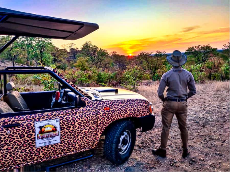 Victoria Falls: Vulture Safari and Bush Walk - The baobab stop adds a local touch