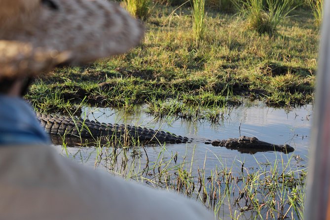 Victoria Falls: Whitewater Rafting + Chobe Safari Combo - Lunch overlooking the Chobe River