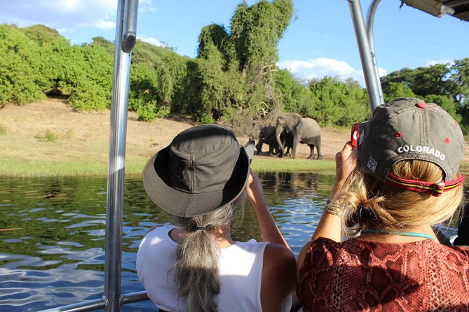 Victoria Falls: Whitewater Rafting + Chobe Safari Combo - Who should book this experience?
