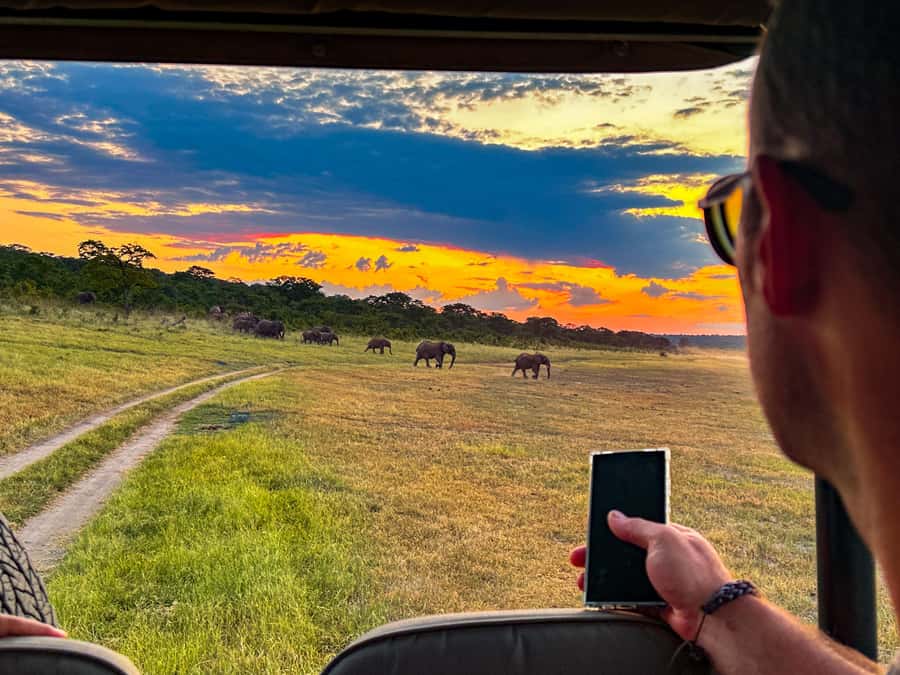 Victoria Falls: Zambezi National Park Game Drive - Should you book the Zambezi National Park drive?