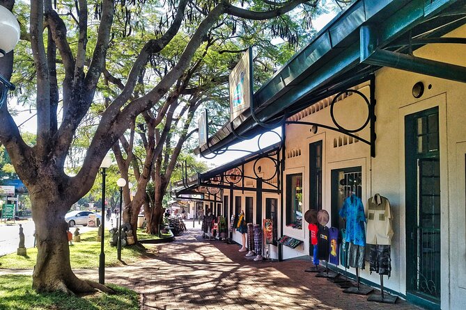 Walking Safari of Victoria Falls Town - A quick way to get your bearings in Victoria Falls Town