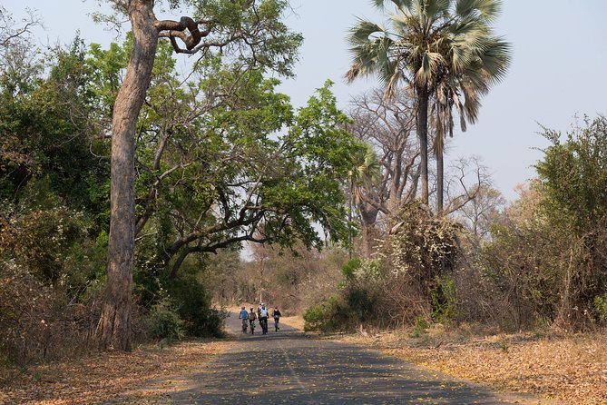 Wild Horizons Bike Tour (Zimbabwe) - What the $45 Price Buys You