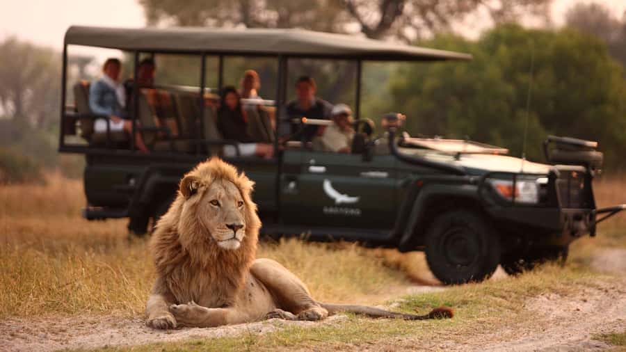 Zambezi 3hr Game Drive - What the drive is likely to feel like