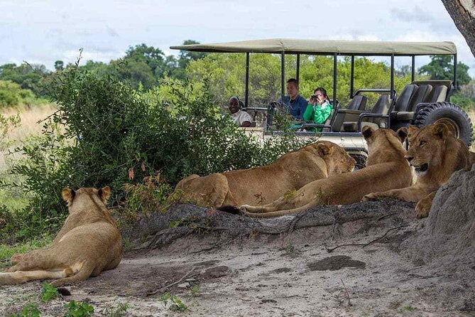 Zambezi National Park AM or PM Game Drive - Is $105 a fair price?