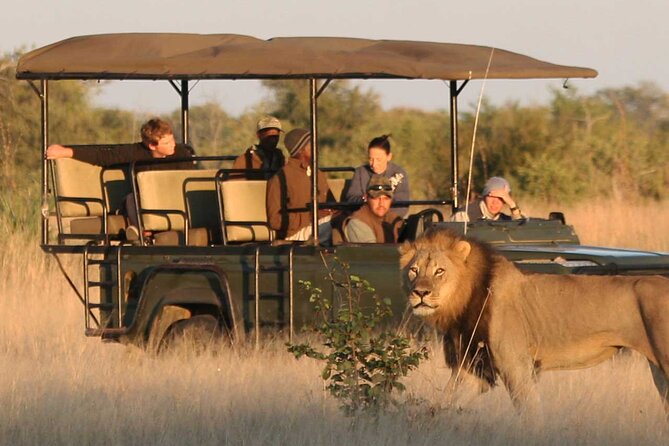 Zambezi National Park AM or PM Game Drive - Who will enjoy this game drive most