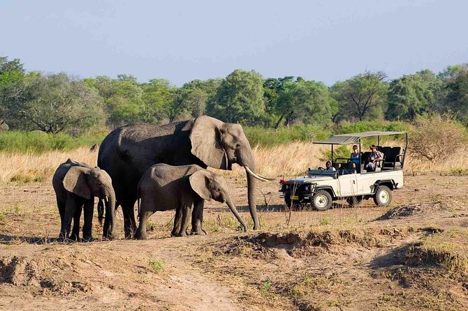 Zambezi National Park AM or PM Game Drive - What happens during the two-and-a-half-hour park drive