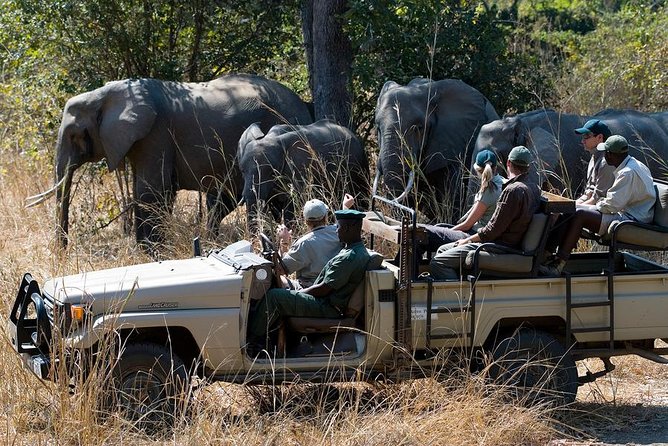 Zambezi Sunset Cruise + Game Drive Safari with hotel Pick Up - Why this pairing works in Victoria Falls