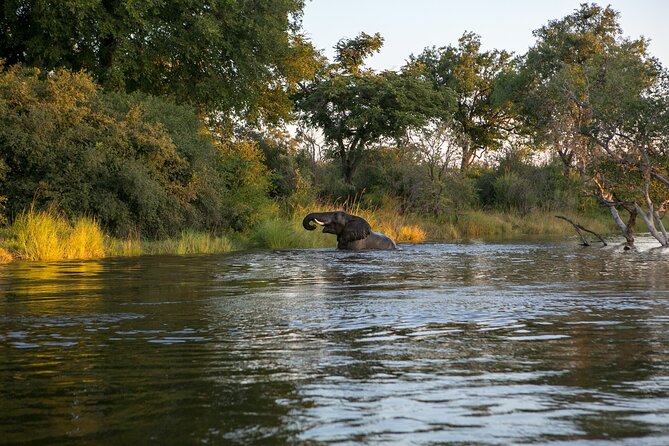 Zambezi Sunset Cruise – Wildlife, Drinks & Breathtaking Views - What the $49 price includes