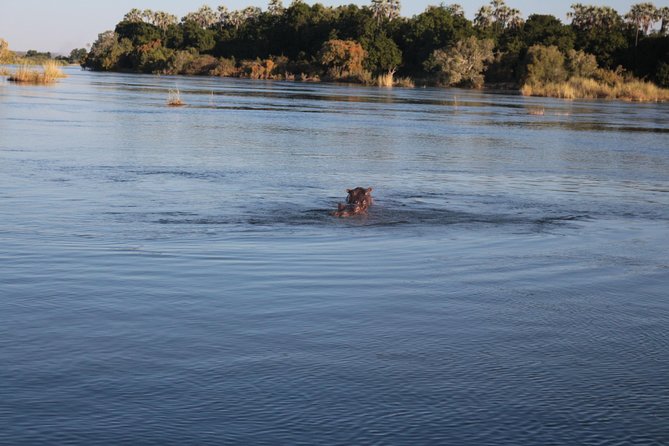 Zambezi Sunset Cruise – Wildlife, Drinks & Breathtaking Views - Practical details that can change your evening